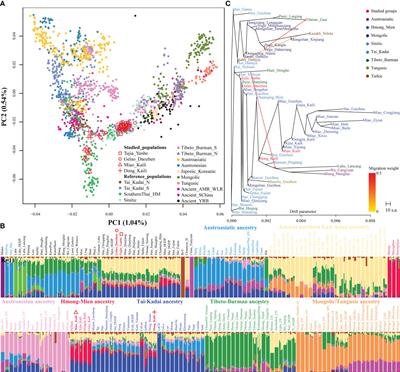 The complex genetic landscape of southwestern Chinese populations contributed to their extensive ethnolinguistic diversity